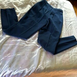 Vintage Blue Virgin Will Pants stretchy